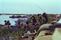 حمل مجروح با قایق