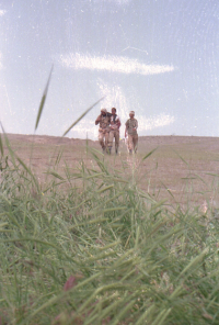 انتقال انفرادی مجروح 