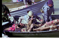 حمل مجروح با قایق