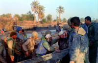 حمل مجروح با قایق