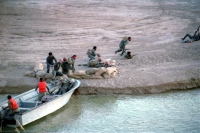 حمل مجروح با قایق