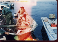 حمل مجروح با قایق