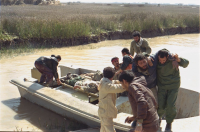 حمل مجروح با قایق