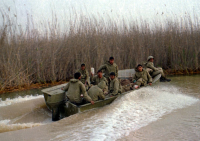 حمل مجروح با قایق