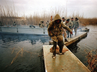 حمل مجروح با قایق