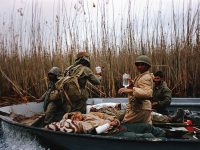 حمل مجروح با قایق