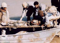 حمل مجروح با قایق