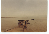 حمل مجروح با قایق