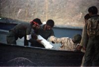 حمل مجروح با قایق