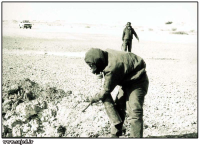 رفع آلودگی شیمیایی گاز خردل