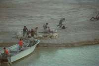 حمل مجروح با قایق