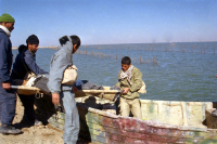 حمل مجروح با قایق