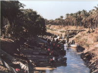 حمل مجروح با قایق