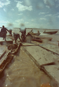 حمل مجروح با قایق