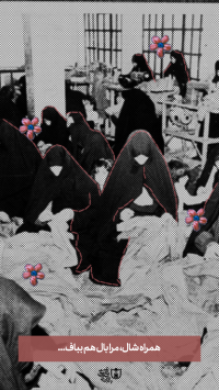 همراه شال، مرا بال هم بباف...